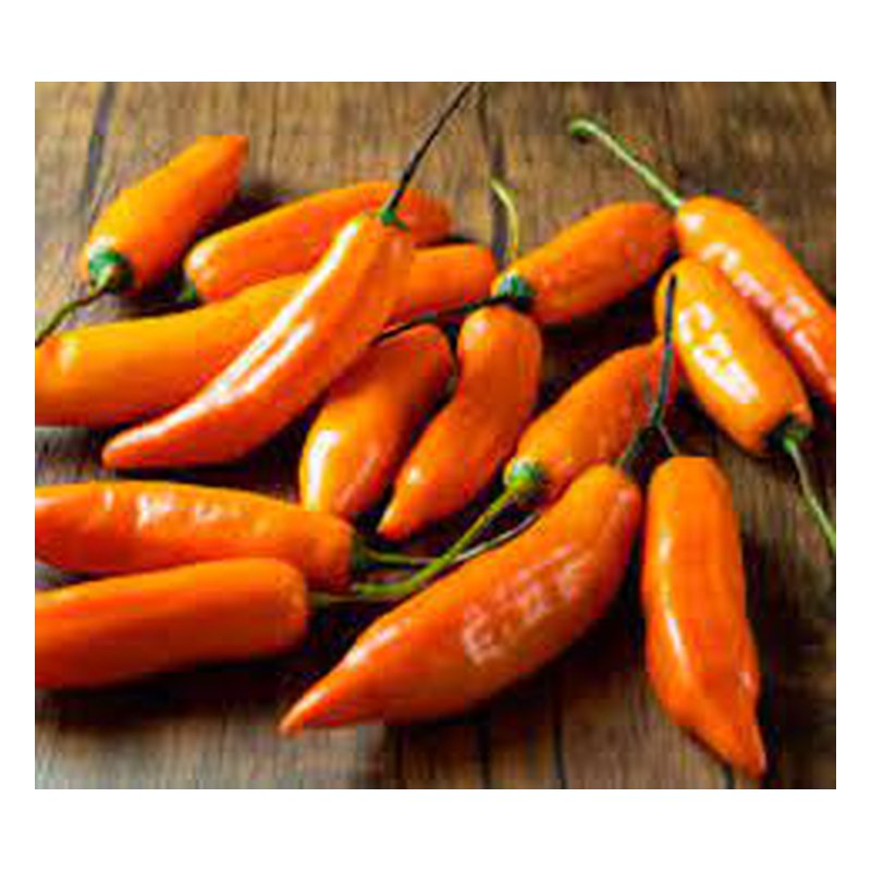 AJI AMARILLO X KILO 