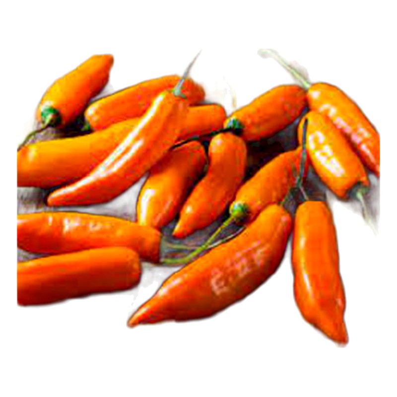 AJI AMARILLO X KILO 