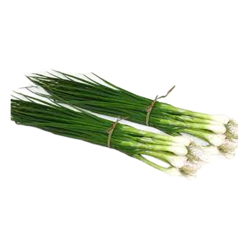 CEBOLLA CHINA X ATADO 