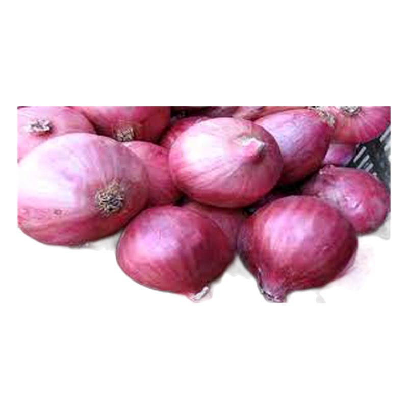 CEBOLLA ROJA X KILO