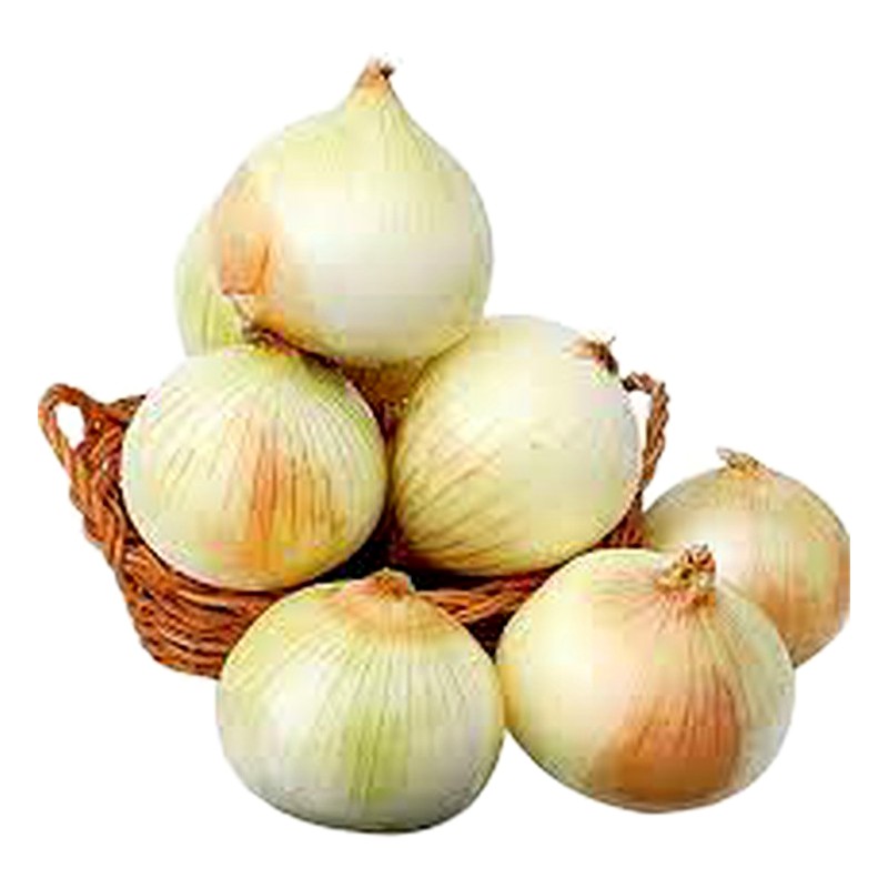 CEBOLLA BLANCA X KILO