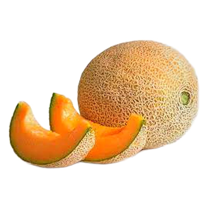 MELON X KILO 