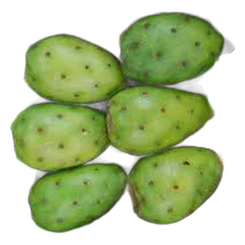 TUNA VERDE X KILO