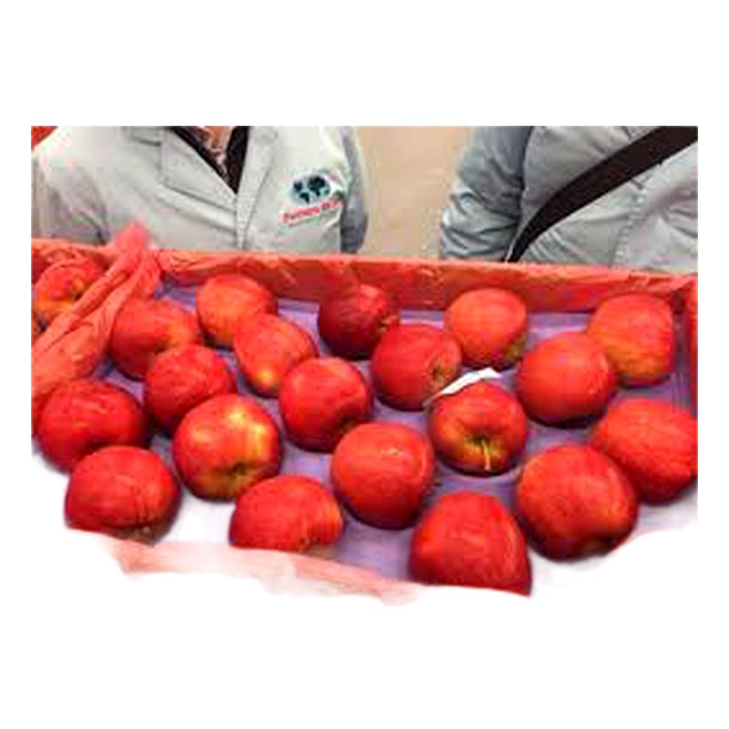 MANZANA ROYAL X KILO 