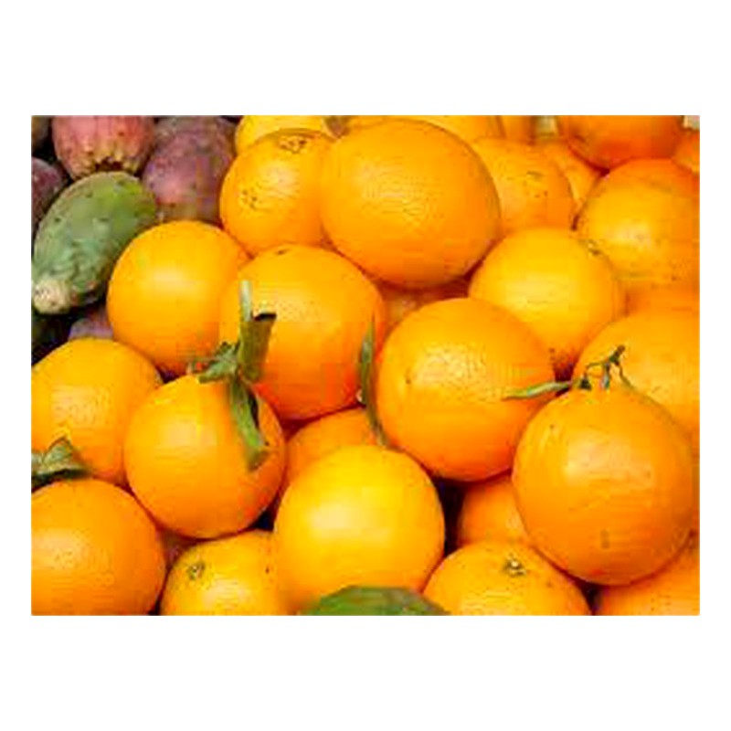 NARANJA HUANDO X KILO