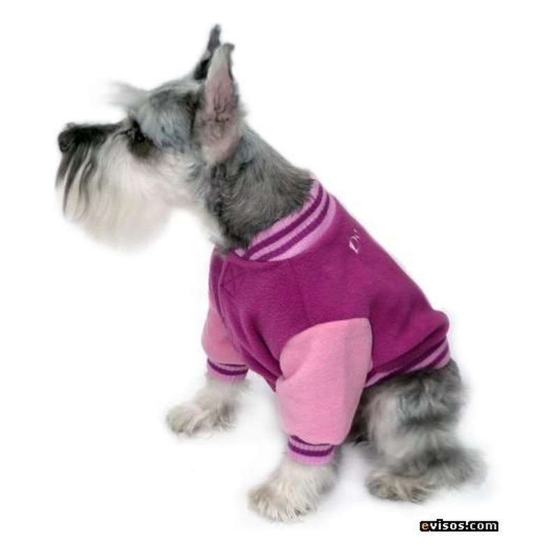 ROPA DE MASCOTAS POLERA AMERICANA TALLA 3 Y 4 