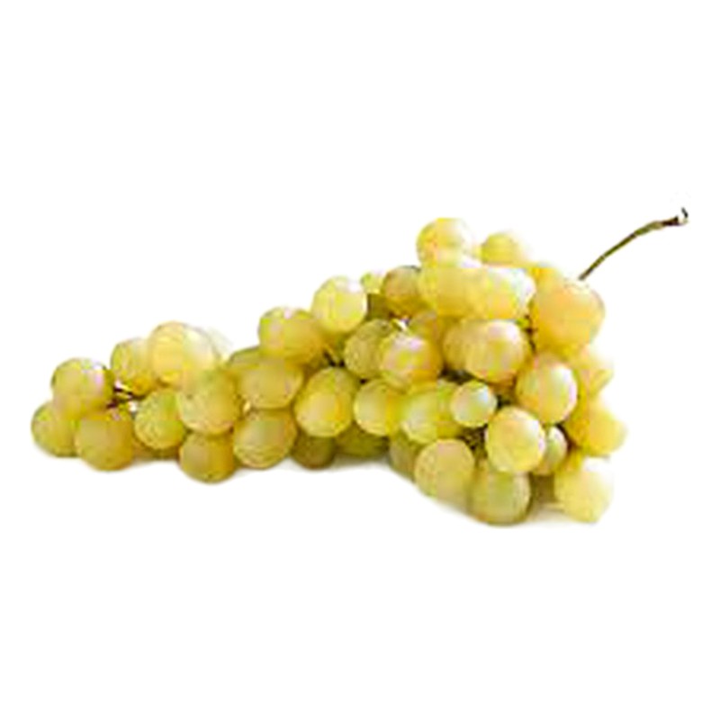 UVA ITALIA 