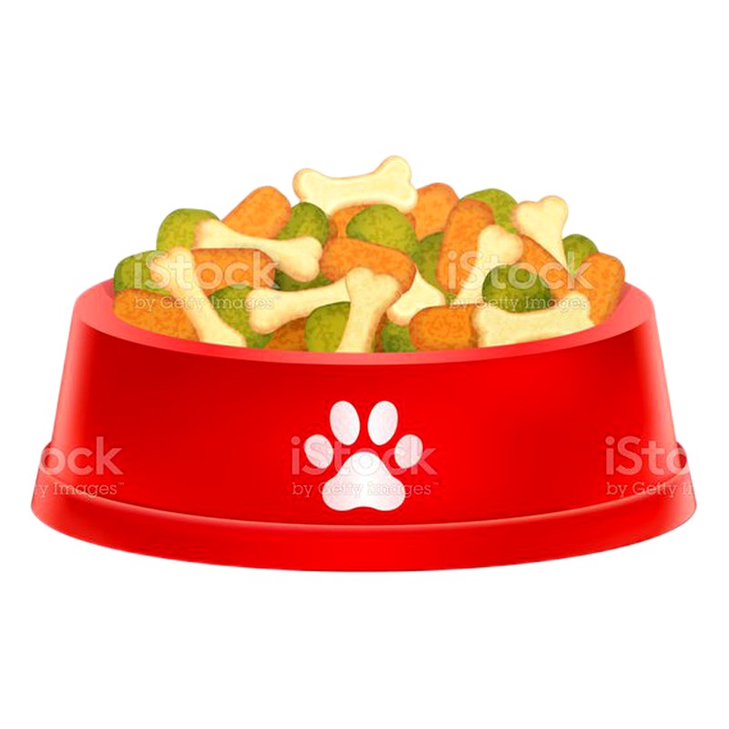 PLATO GRANDE PARA PERRO 