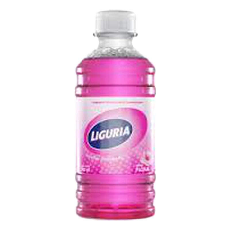 LIMPIATODO ECOLIMP AROMA FLORAL 250ML  